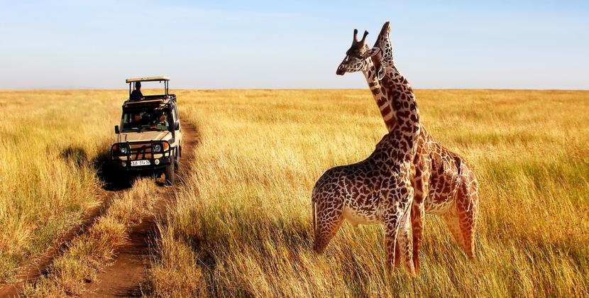 JAMBO AFRICA TRAVEL AND TOURS