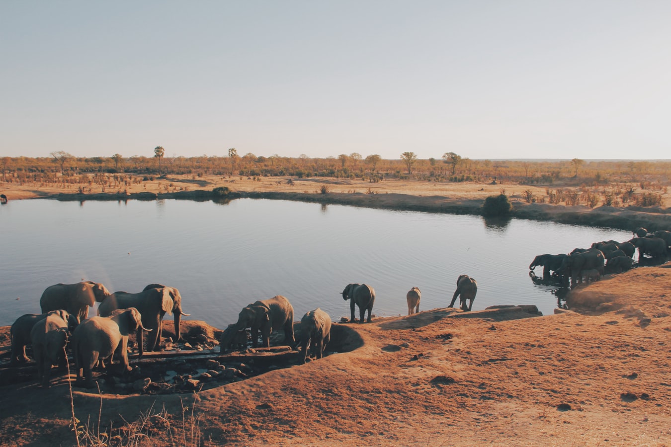 JAMBO AFRICA TRAVEL AND TOURS