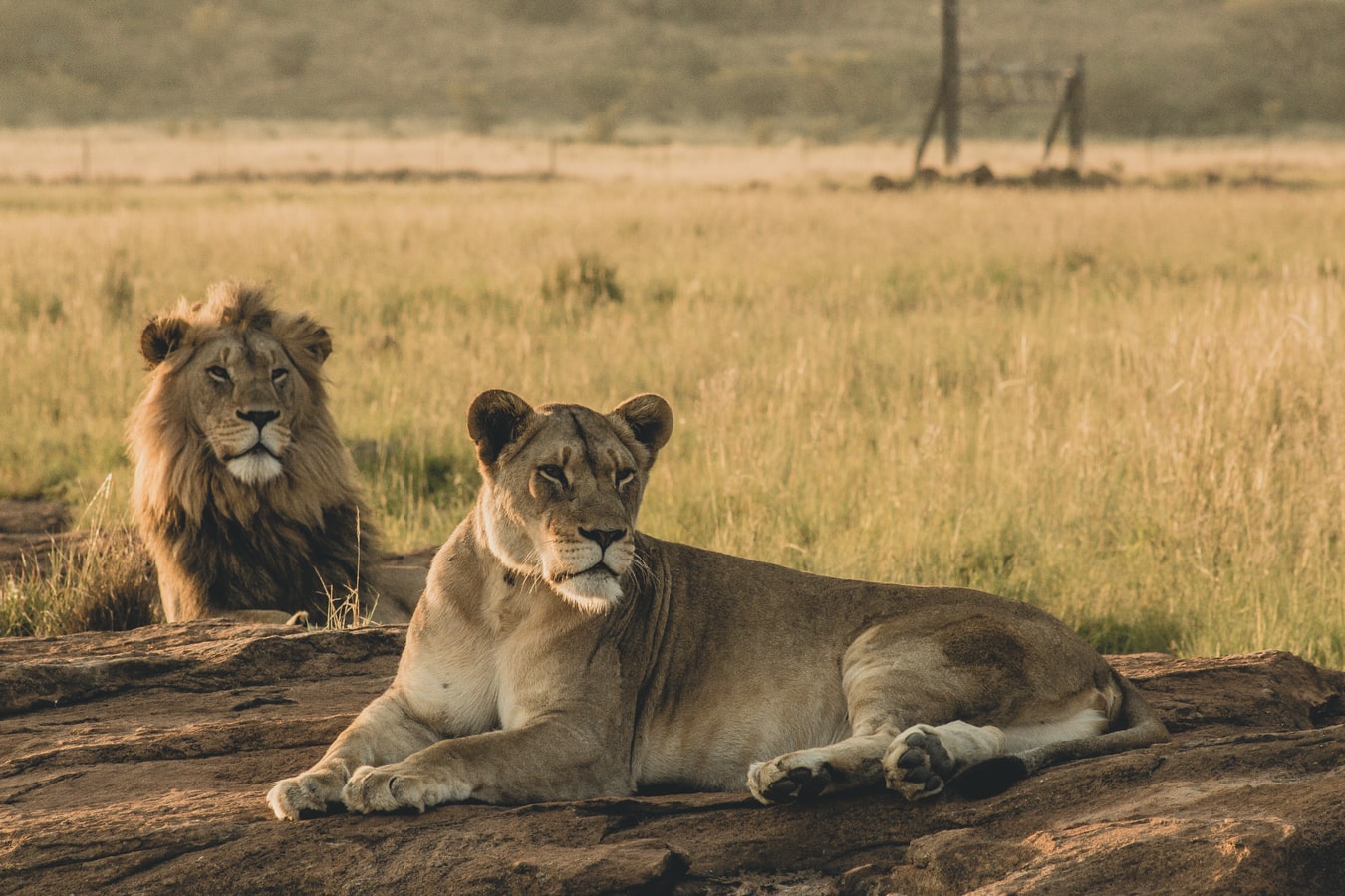 JAMBO AFRICA TRAVEL AND TOURS