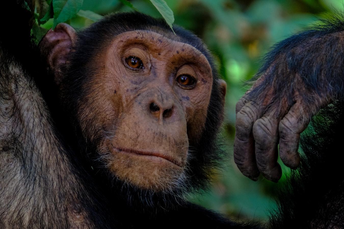 JAMBO AFRICA TRAVEL AND TOURS