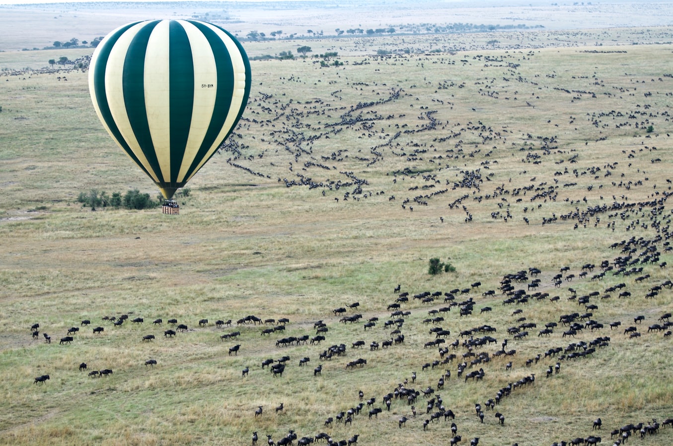 JAMBO AFRICA TRAVEL AND TOURS