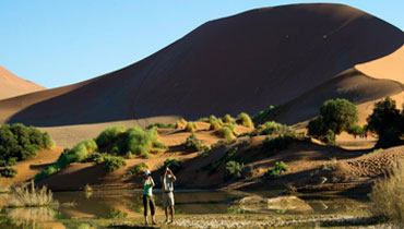 JAMBO AFRICA TRAVEL AND TOURS