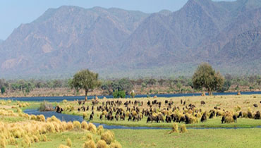 JAMBO AFRICA TRAVEL AND TOURS
